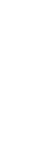 Transparent Body
